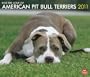 American Pit Bull Terriers, For the Love of 2011