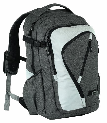 STM Bags DP-0921-1 Large Rogue Backpack, Fits up to 17 Inch Screens, Grey-Silver