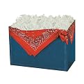 Small Denim Gift Box Set of 5