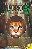 Dark River (Warriors: Power of Three, No. 2)