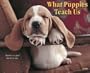 What Puppies Teach Us Calendar