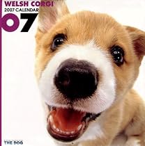 Welsh Corgi 2007 Calendar