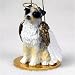 Australian Shepherd Blue Angel