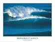 Hawaiin Classics "Sunset Beach" Surfing Poster