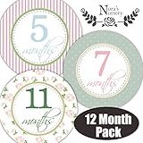 Featured Baby Monthly Stickers - Great Keepsake for Babies, Baby Girl Shower Gift Idea or Milestone Photo Prop - Easy to Peel, Stick, Shoot and Remove from Clothing and Onesies - Shabby Chic Design