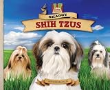 Shaggy Shih Tzus (Dog Daze)