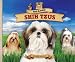 shih_tzu35shih tzu - Shaggy Shih Tzus Dog Daze