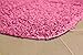 Garland Rug Jazz Shaggy Washable Nylon Rug, 24-Inch by 40-Inch, Pink