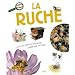 Ruche (la)