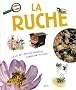 Ruche (la)