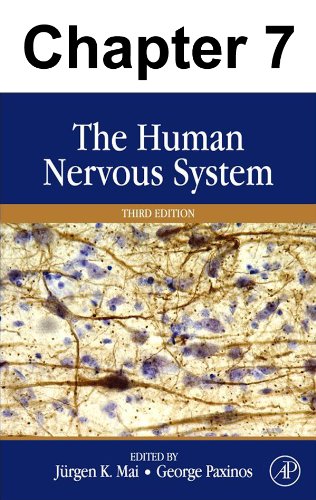 Chapter 007, Spinal Cord: Connections