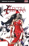 Elektra: Assassin