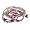 Wrap Bracelet 
