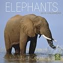 Elephants 2010 Wall