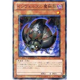 �V�Y���J�[�h �y �C�����F���Y�̖��זE �z DT10-JP026-N �s�f���G���^�[�~�i��-�C�����F���Y�̐N���t