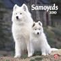 Samoyeds 2010 Square Wall (Multilingual Edition)