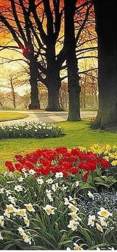 Floral Sunset PR1257 Wall Mural