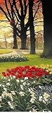 Floral Sunset PR1257 Wall Mural
