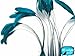 1 Dozen - TURQUOISE Stripped Coque Tail Feathers