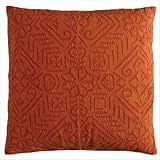 Habitat 20 x 20 Pillow in Rust