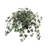 Artificial Lace Ivy Plant Tree