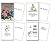 Stonehouse Collection | Boxed Set of 24 Funny Birthday Cards | Good, Clean Humor for the Whole Family or Workplace | It's Their Special Day, Make them Laugh | Made in the USA