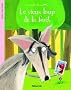 La minute du papillon : Le Vieux Loup de la Foret