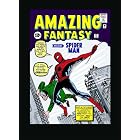 Amazing Spider-Man Omnibus, Vol. 1 (v. 1) by Stan Lee and Steve Ditko