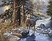 2 Deer Buck Art Prints Western Themed Hunting Posters