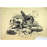 1878 の犬の警察のだらしない玉石の骨董品の印刷物