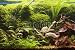 Wallmonkeys Peel and Stick Wall Decals - Decorative Aquarium - Removable Graphic