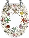 Puregadgets puregadgets sea shell pebble bathroom wc luxury toilet seat jh205