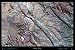 Laminated Moab, Utah (Classic) satellite poster photo print view map: 36"x24" Glossy