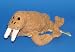 Scrubby Buddies: Wallace the Walrus