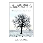 A Tortured Soul's Asylum: Poetry from a Mind's Eye book cover