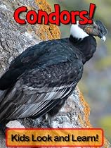 Condors! Learn About Condors and Enjoy Colorful Pictures - Look and Learn! -From Free Kindle Books Library