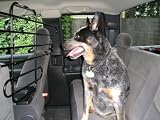 NEW! The ZooKeeper vehicle pet barrier. Tilt. Slide. Recline. The ZooKeeper is the only metal tubing pet barrier that moves with your seats. EASY to install in 2-door cars, 4-door cars, trucks with extended cabs, wagons and SUVs. No tools needed! Design allows seat movement and easy backseat access. (aka Zoo Keeper pet barrier) Engineered in USA. Patent pending.