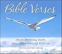 Bible Verses 2010 Daily Boxed Calendar