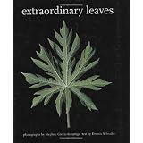 Extraordinary Leaves