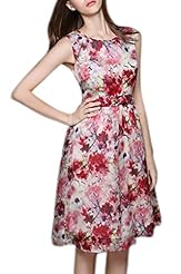 Lace Summer Sleeveless Organza/Silk General Print  Dress