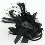 Fascinator Feder Spitze Brosche Haarklammer Haargummi Haarclips TOP