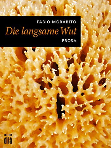 Die langsame Wut: Prosa (German Edition)