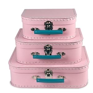 Euro Case in Orchid Pink - Set of 3 by Resource International