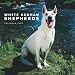 White German Shepherds 2009 Wall Calendar 12 X 12