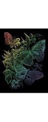 Rainbow Engraving Butterflies