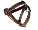 EzyDog Chest Plate Harness, Medium, Chocolate