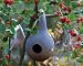 Birdhouse Gourd - 15 Seeds/Seed