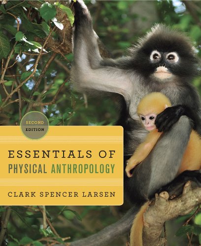 Essentials of Physical Anthropology: Discovering Our Origins (Second Edition)