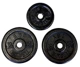 Regular Black Weight Plates- (10lb, 5lb) pair of each