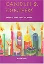 Candles and Conifers: Resources for All Saints' and Advent